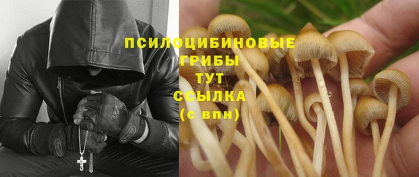 а пвп мука Заволжье